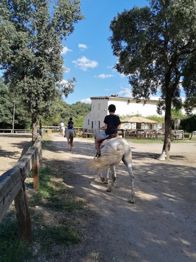 Casa Rural, Can Cirera Serinya Екстер'єр фото